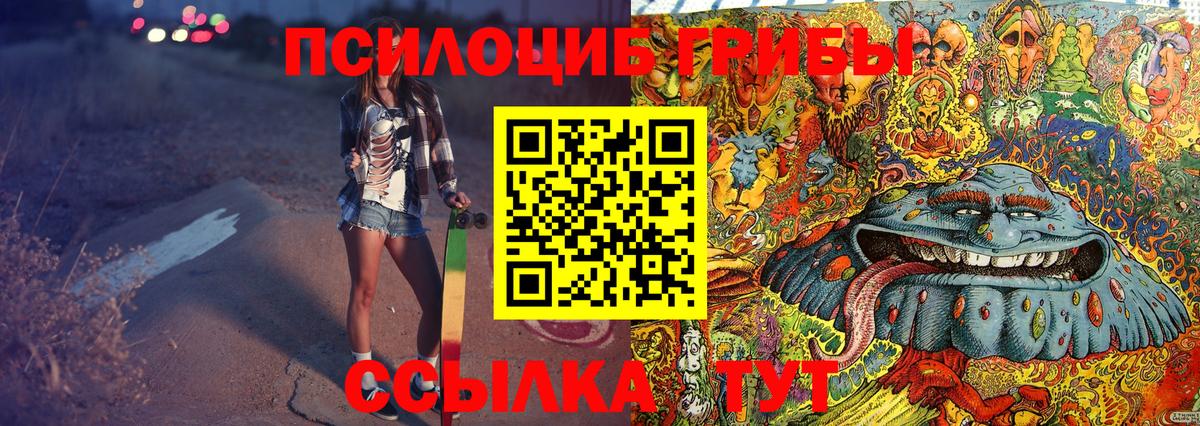Псилоцибиновые грибы Cubensis Мурино