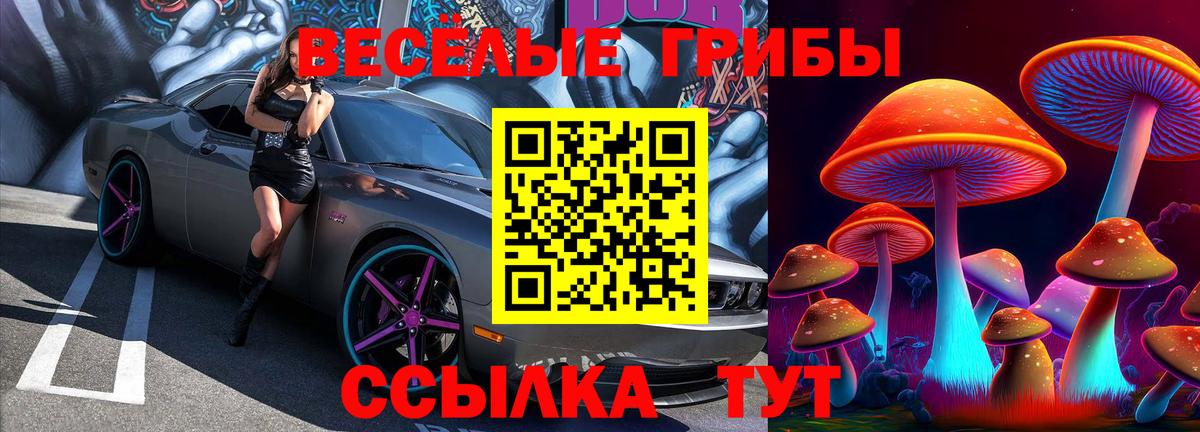 Мурино  Псилоцибиновые грибы Cubensis  Псилоцибиновые грибы MAGIC MUSHROOMS  Вход с VPN 