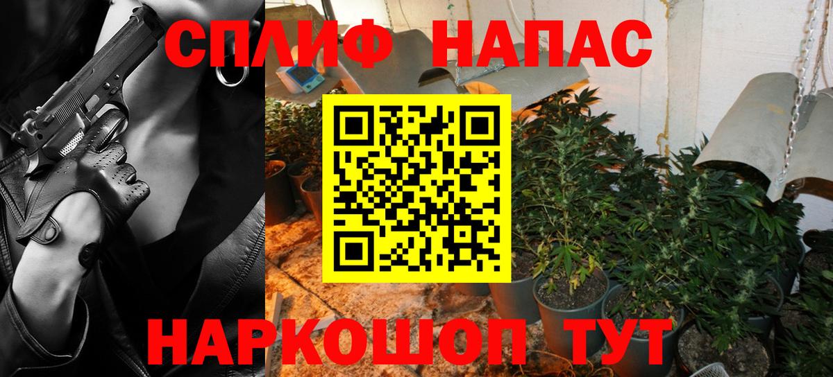 Мурино  Бошки Шишки марихуана  Бошки Шишки марихуана  Конопля семена  Вход с VPN 